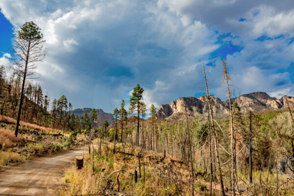 View Towards Hermit Peak | Fine Art Landscape Photography Print for Sale | Chronoscope Pictures