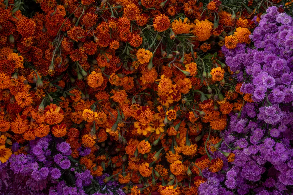 TRAVELOGUE : OAXACA by photographer Sean Nicholas McMullen