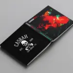 Casbah Hits Vol. 1 book design, opened flat, front and back covers