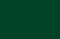 deep forest swatch