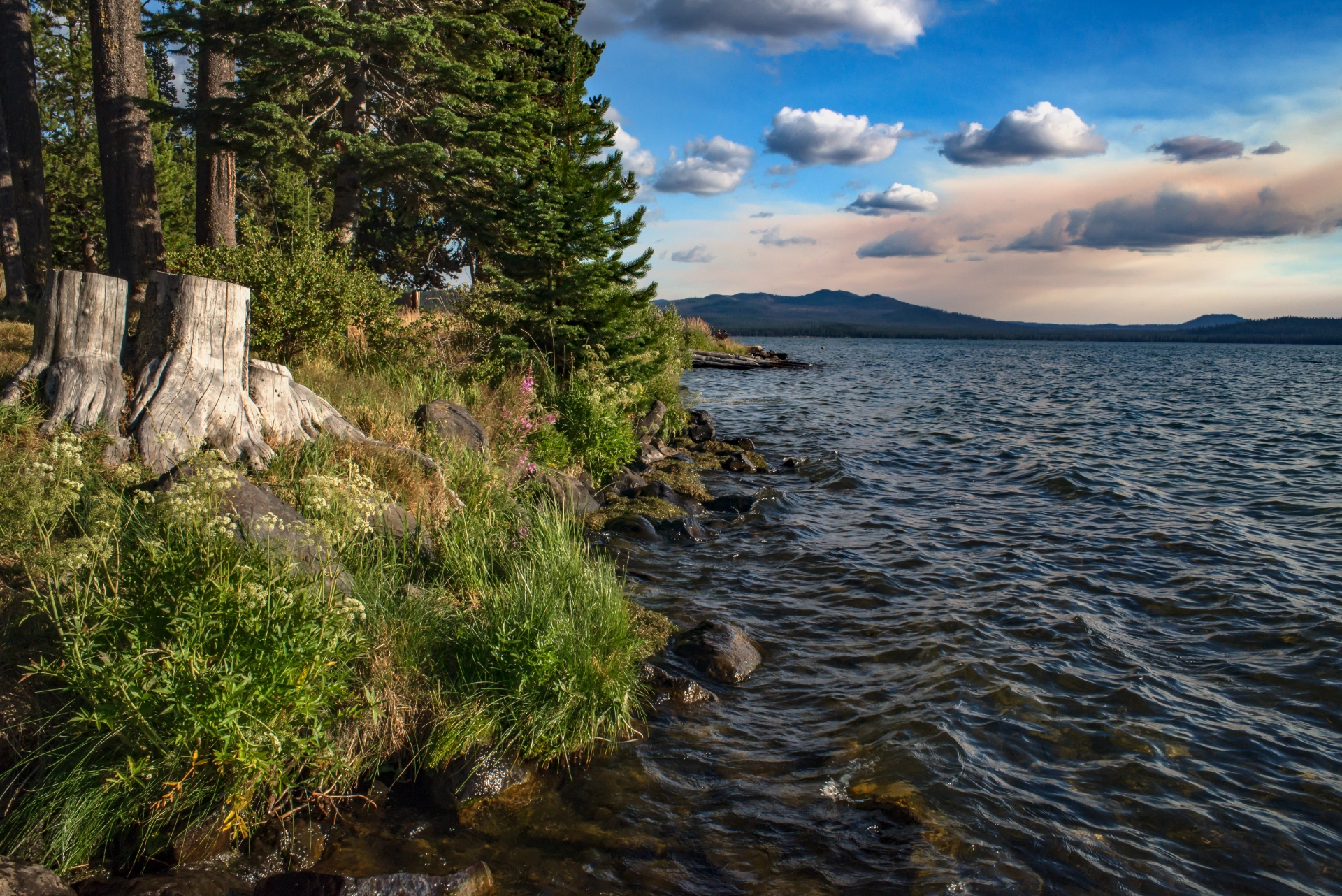 Lakeside