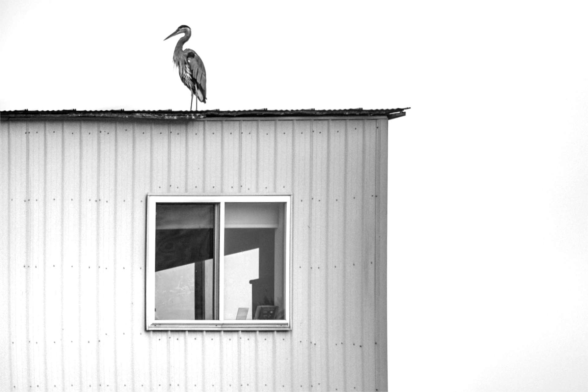 Perch
