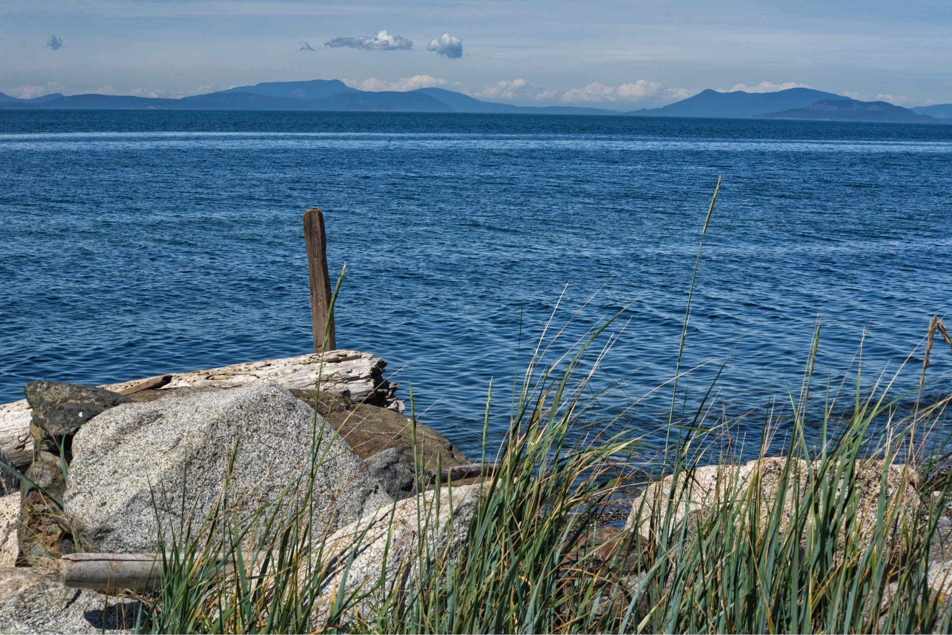 Whidbey