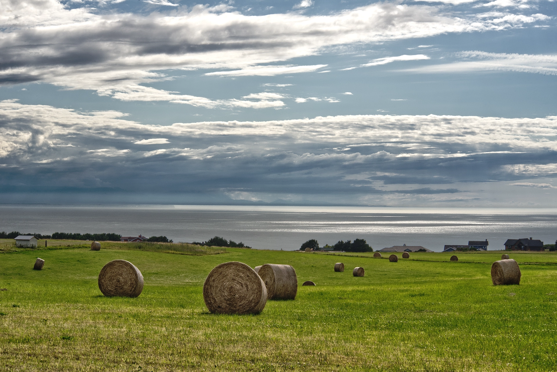 Hay Bales
