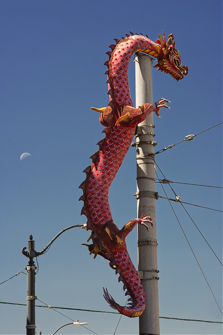 Moon Dragon
